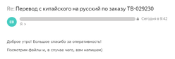 Скриншот отзыва Трансвертум