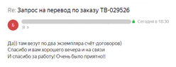 Скриншот отзыва Трансвертум