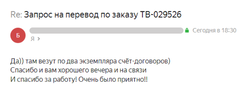 Скриншот отзыва Трансвертум